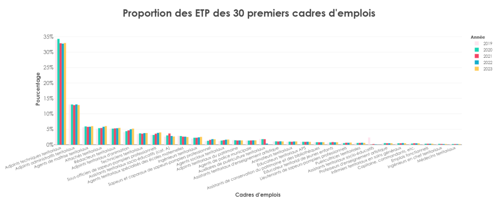 Création d'un nouveau cadre d'emplois : les aides-soignants territoriaux